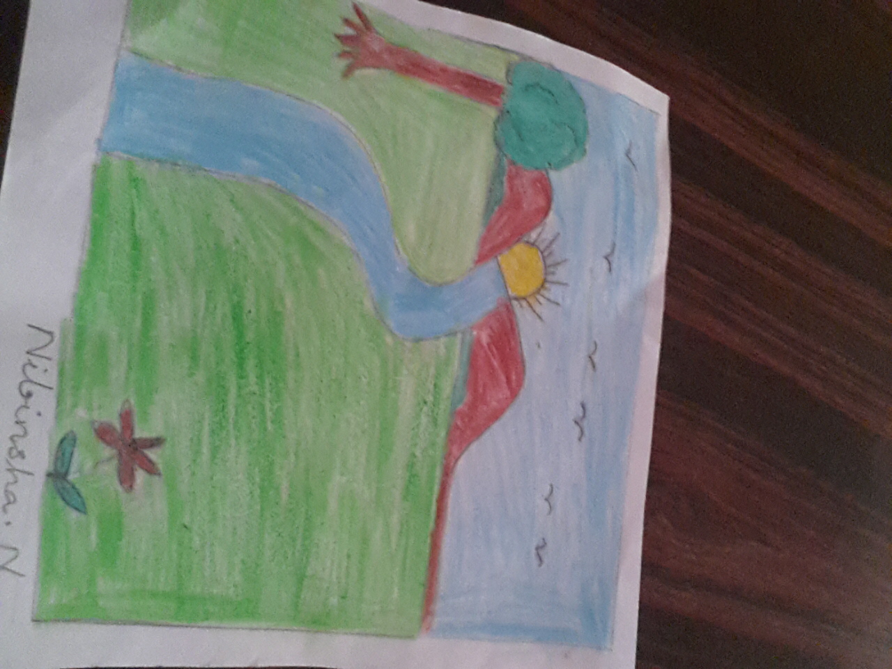Nibinsha  N creative work