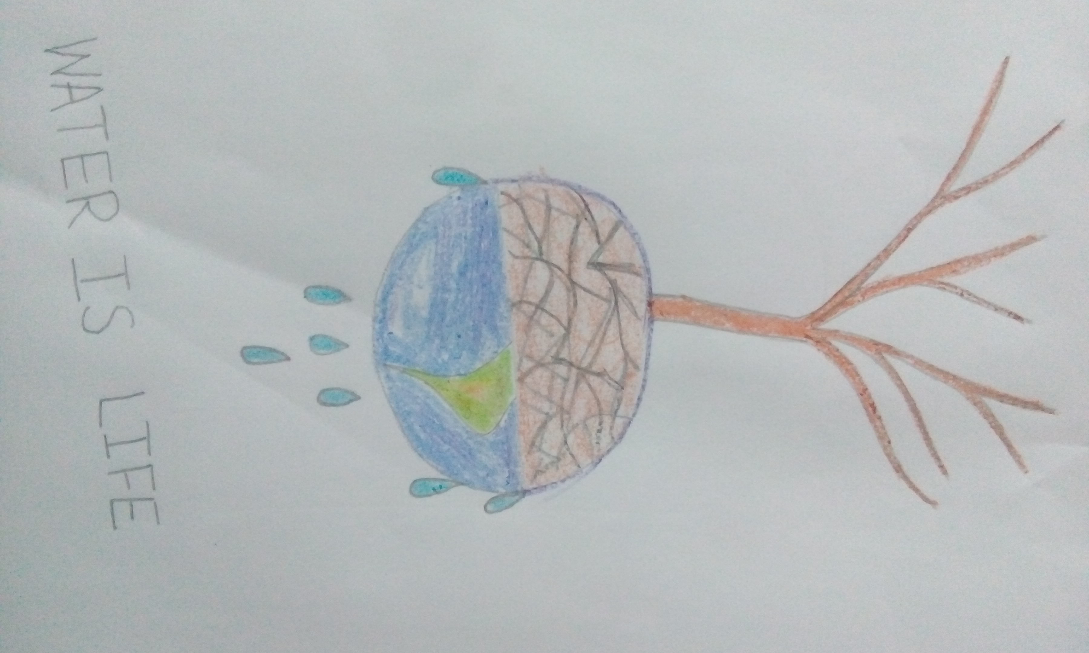 Fathima M S creative work