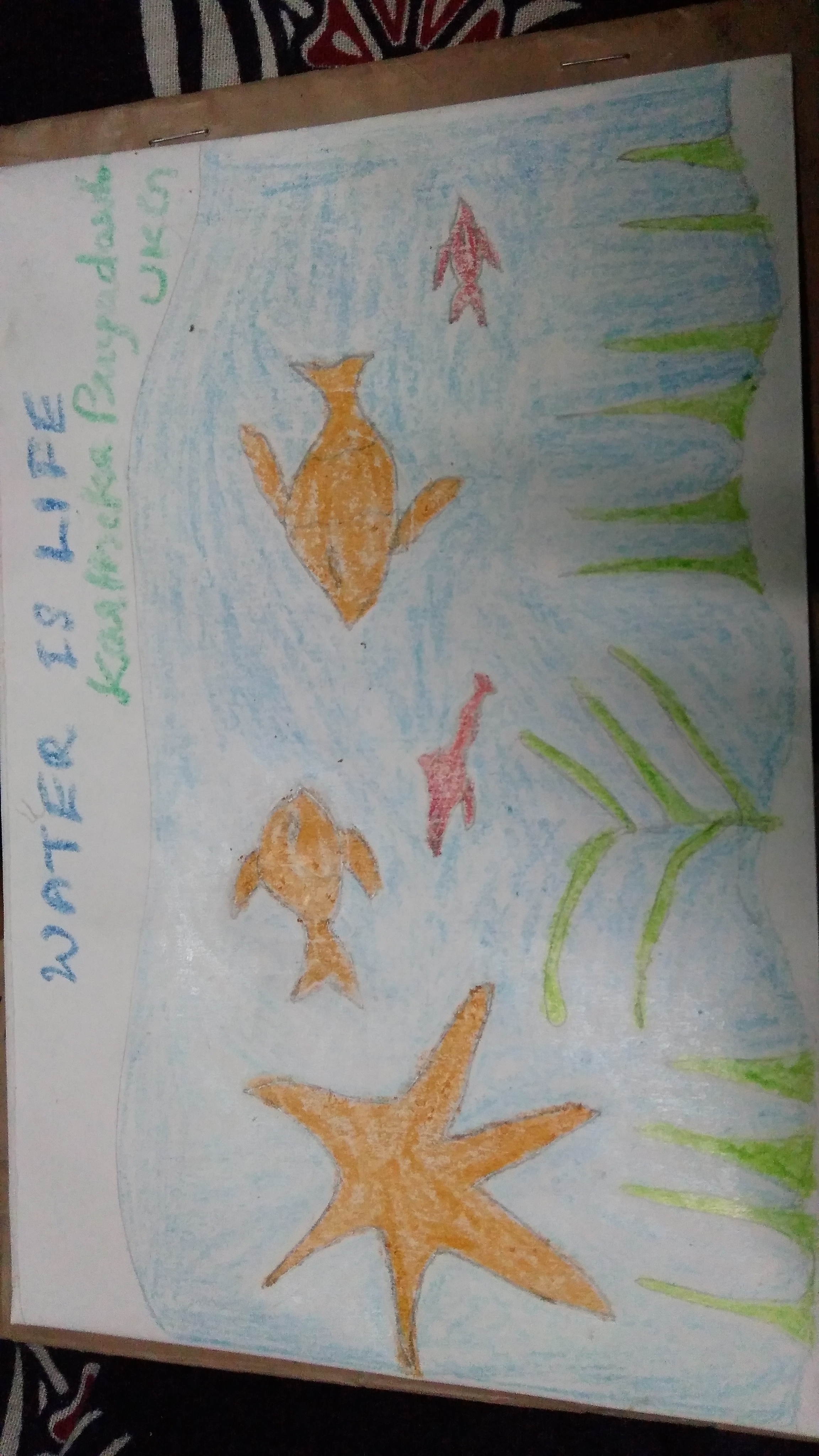 Karthika Priyadarshini creative work