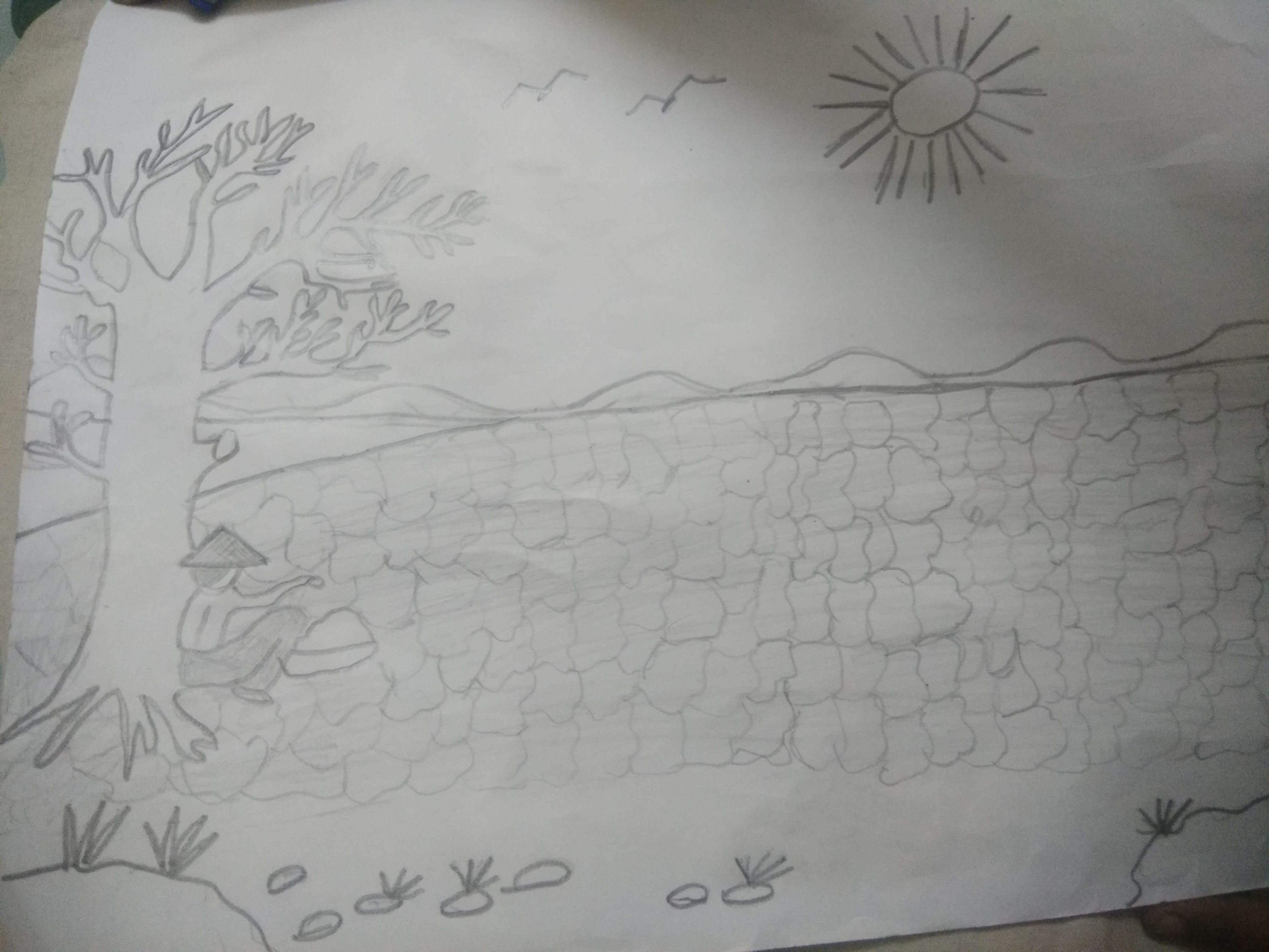 Amitha jayakumar creative work