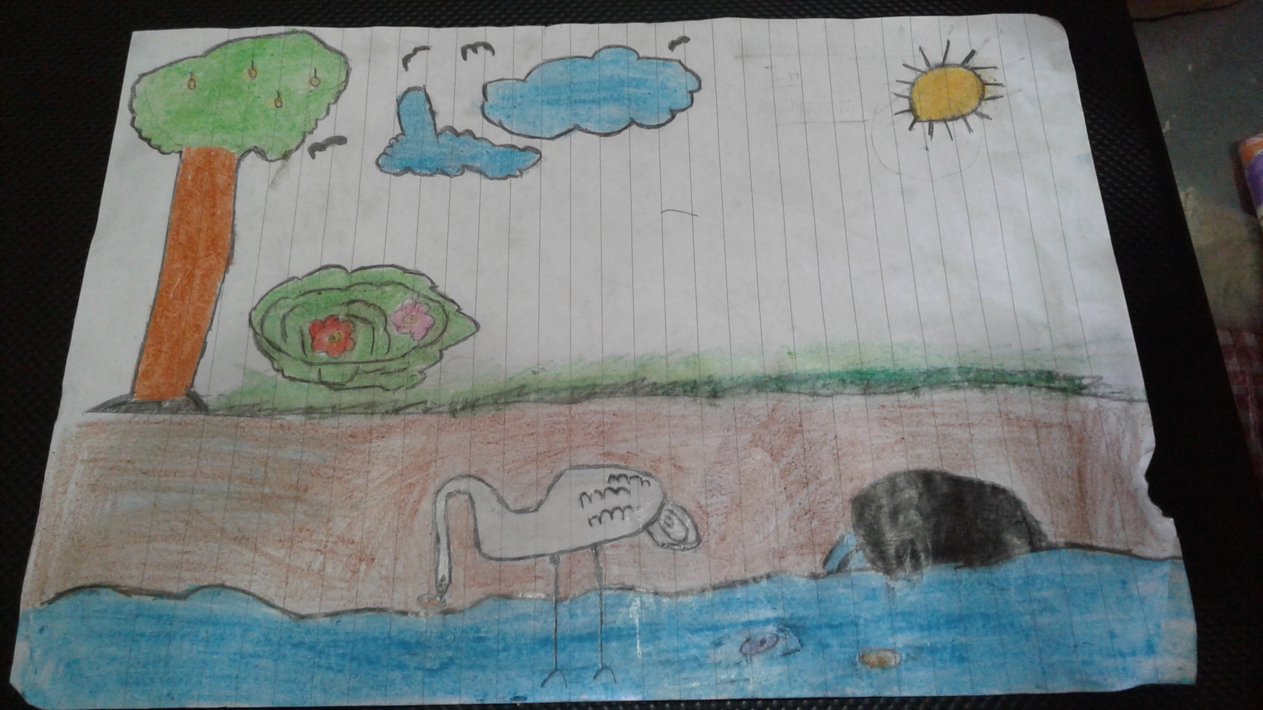 Arshad Muhammad s creative work