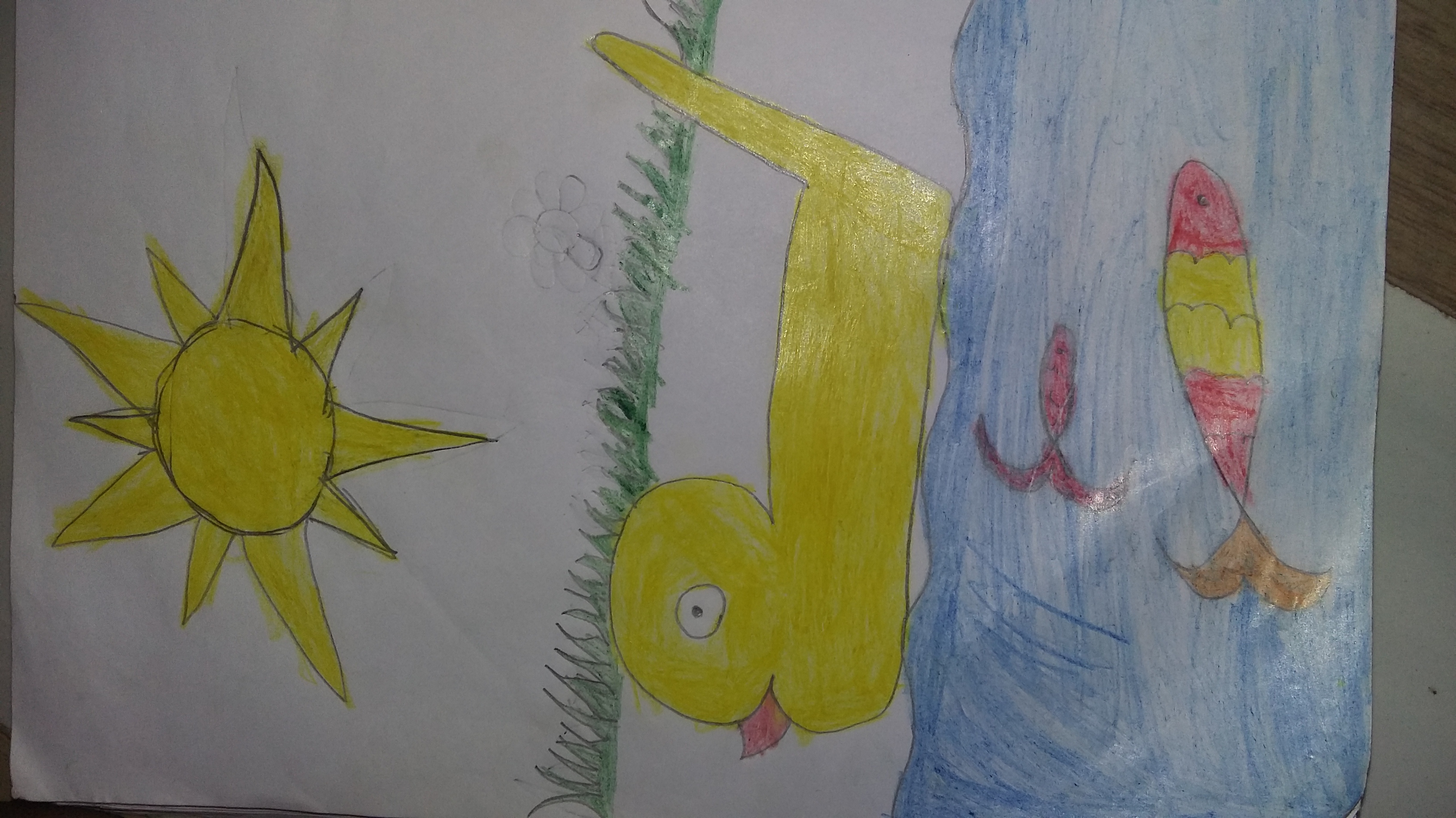 Mohammed Raihan creative work